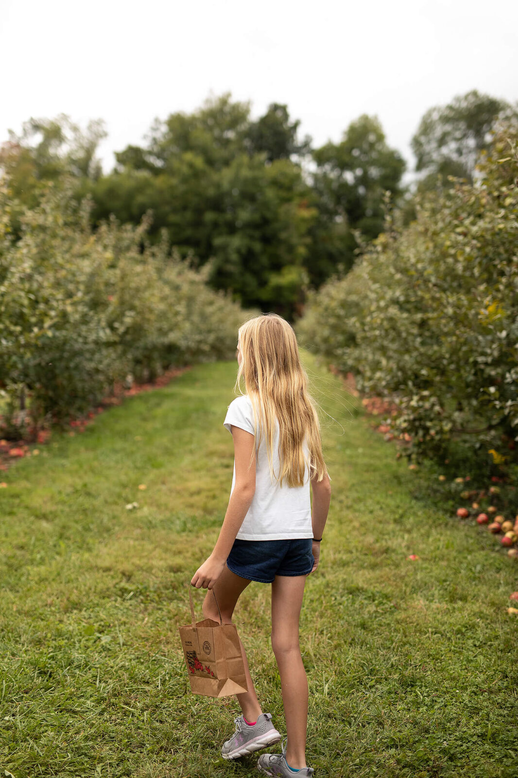 Young girl in apple orchard walking down apple row