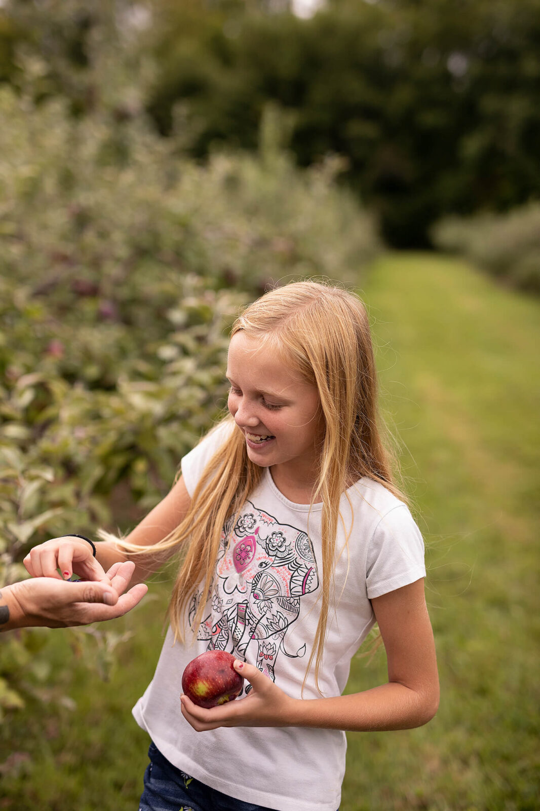 Young girl picking something out of another persons hand at apple orchard