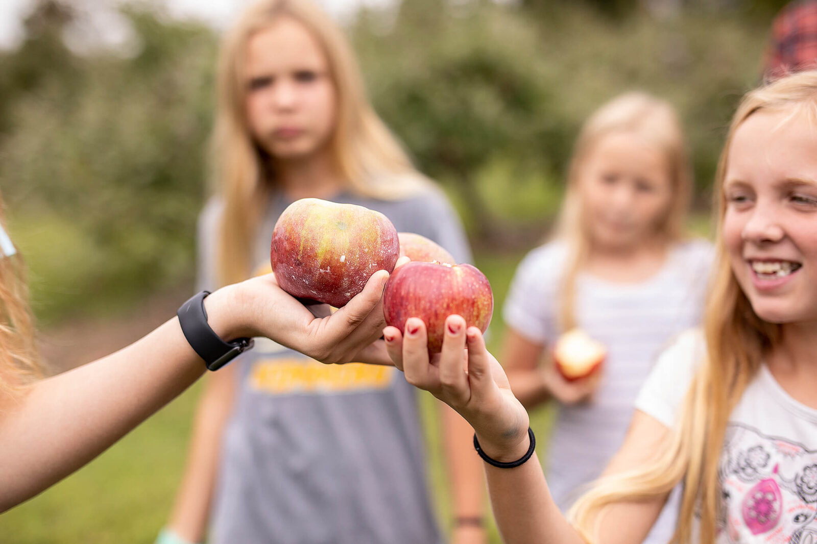 Two people holding apples together