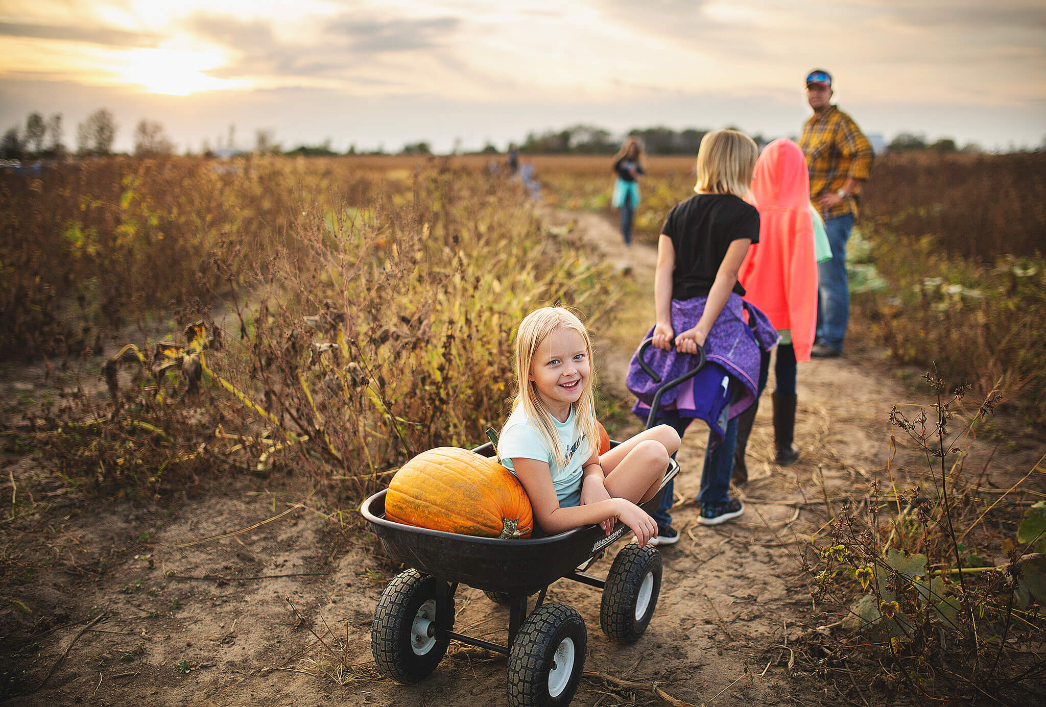 Family picking pumpkins at pumpkin patches near mansfield ohio