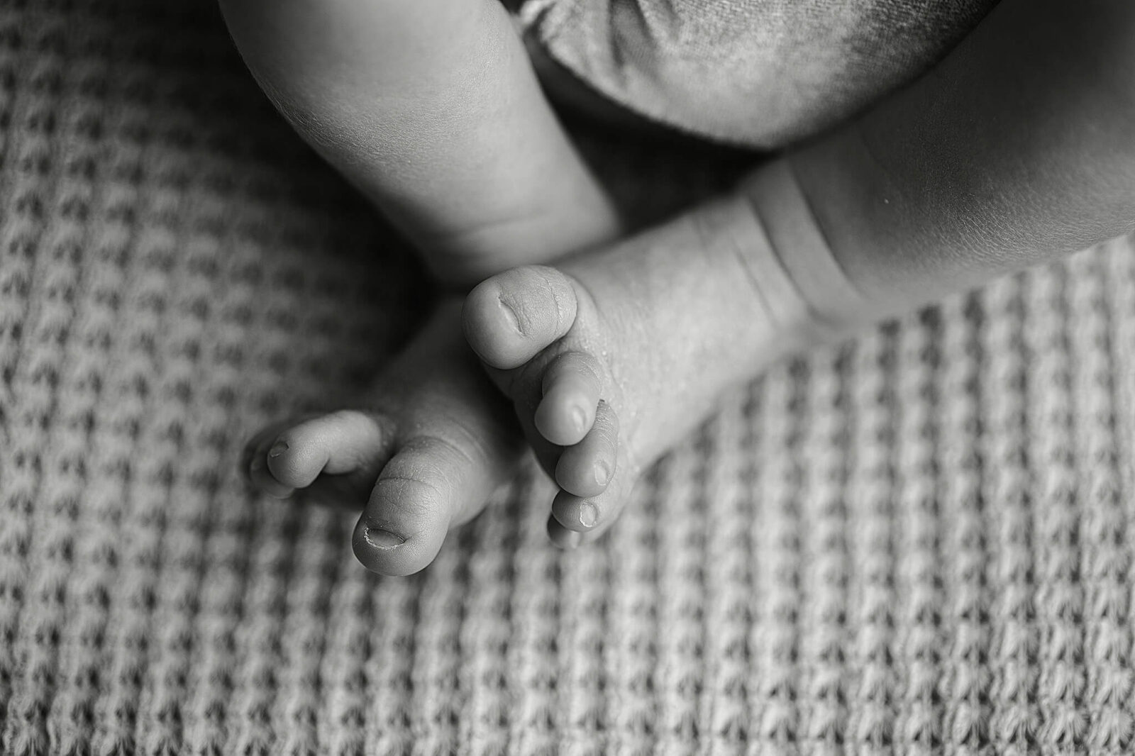 newborn baby feet close up photo in black and white